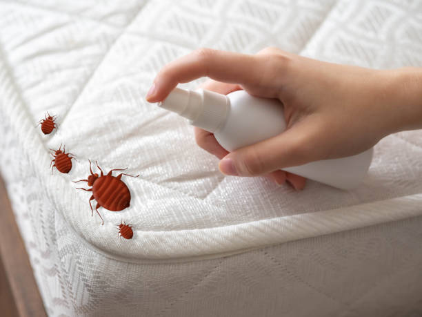 Best Pest Exclusion Services  in William Paterson University Of New Jersey, NJ